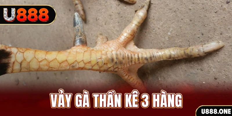v9 bet nổ hũ đổi thưởng . ai