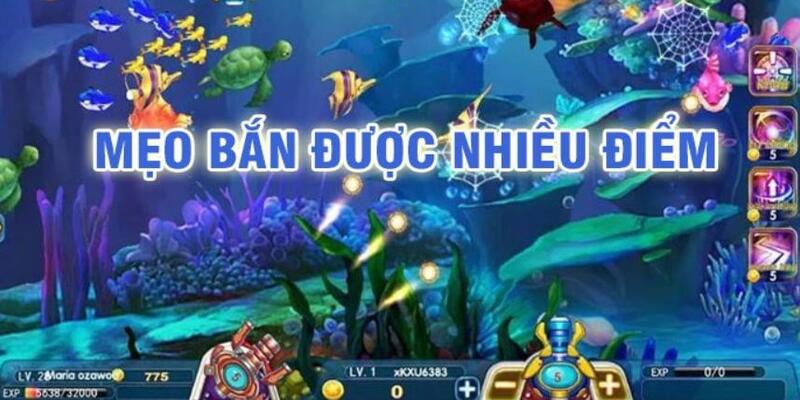 v9 bet đá gà