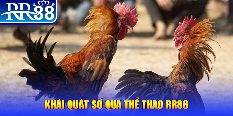 v9 bet baccarat bịp như thế nào