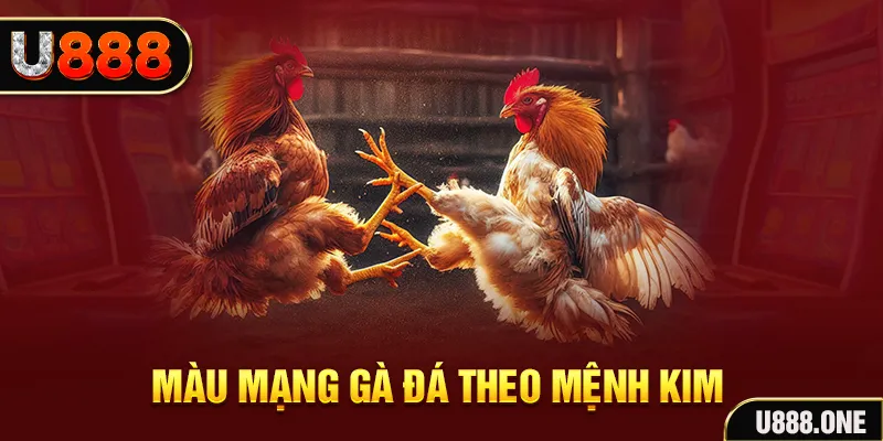 v9 bet gà chọi tiêu phong