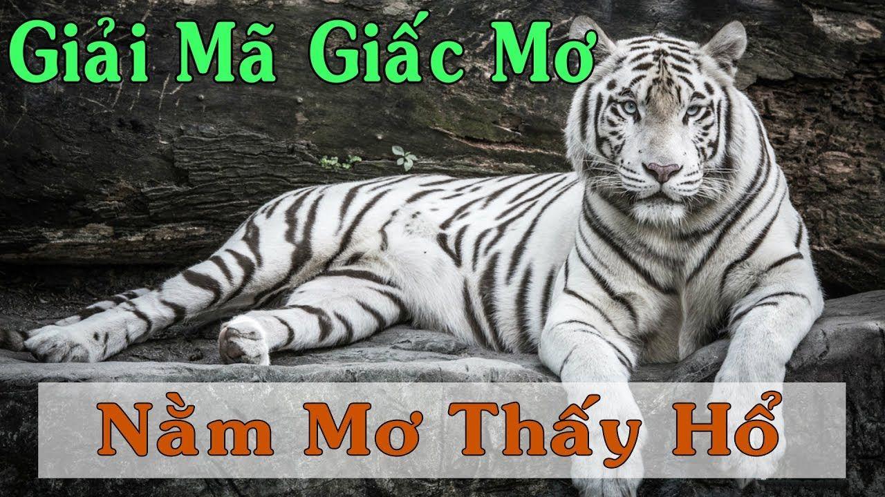 v9 bet xổ số miền trung
