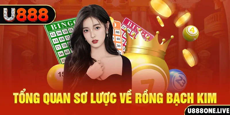 v9 bet how to win at slot machines
