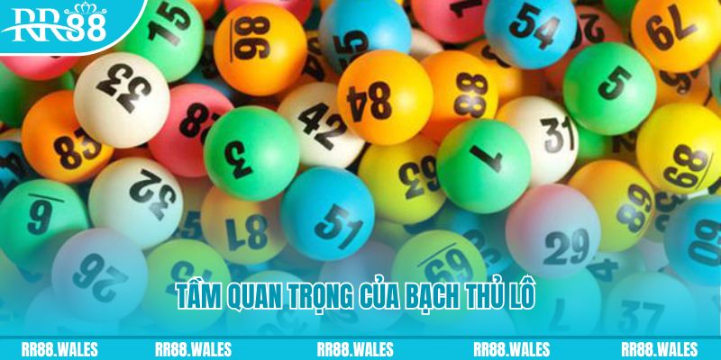 v9 bet Ws168 Đá Gà