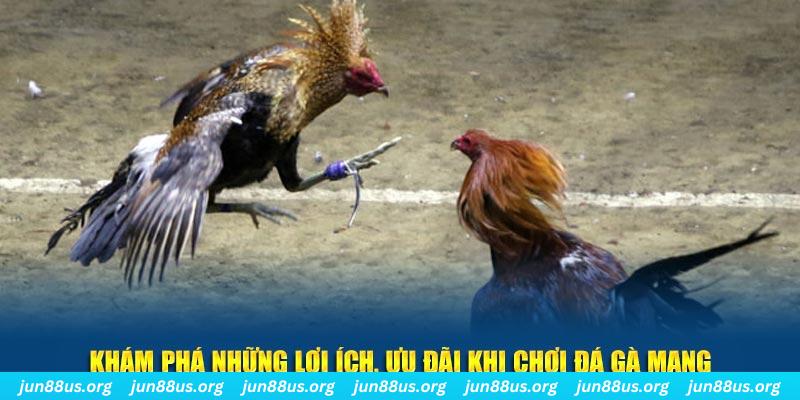 v9 bet Tài Xỉu 2