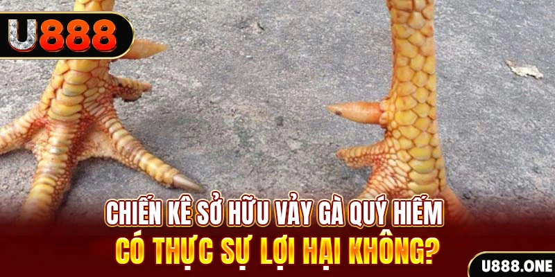 v9 bet game cá cược máy bay