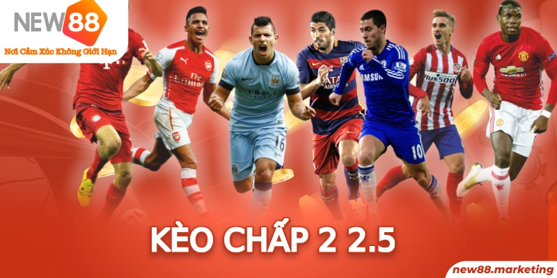 v9 bet trực tiếp đá gà thomo