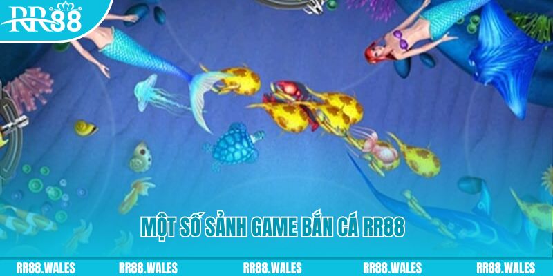 v9 bet xổ số minh ngọc – miền nam