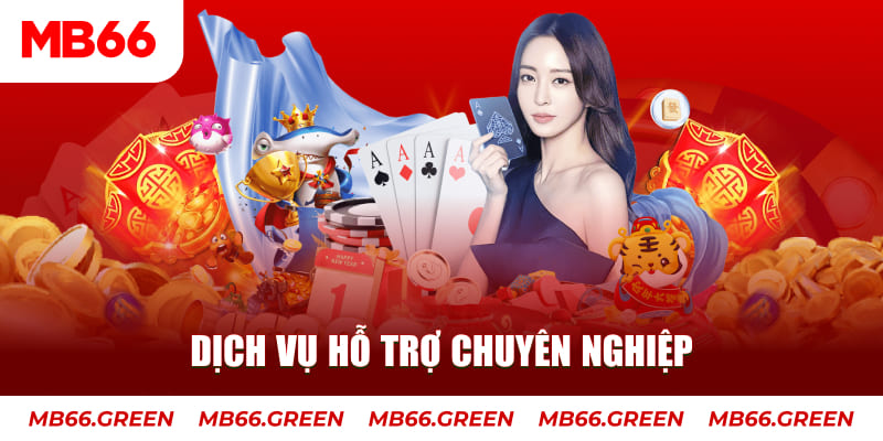 v9 bet gà chọi cậu thanh