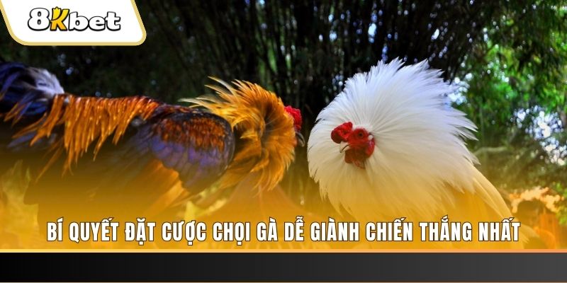 v9 bet may club nổ hũ