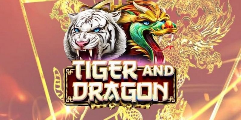 v9 bet cá cược tiếng anh là gì