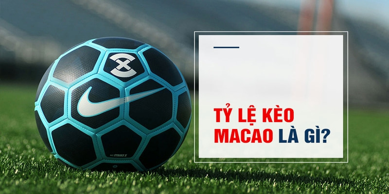 v9 bet Trăm Knorr